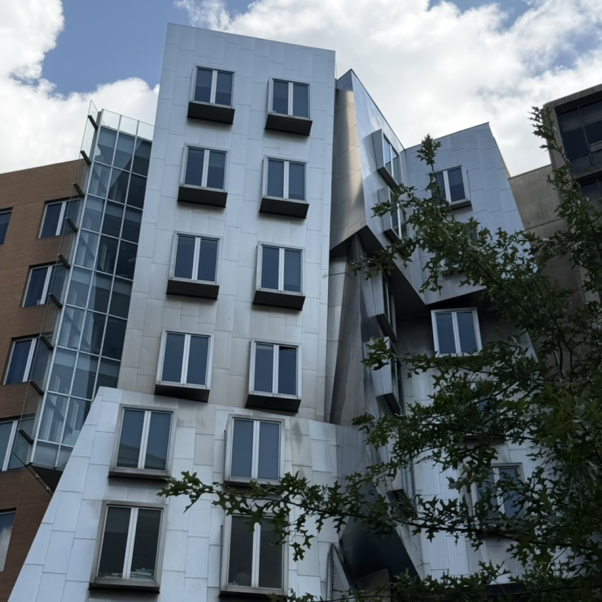 stata center